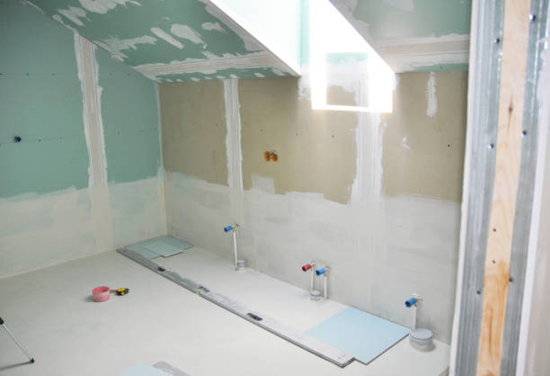 Best Crawl Space Mold Remediation  in Richardson, TX