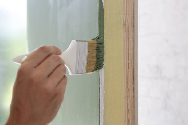 Mold Odor Removal Services in Richardson, TX