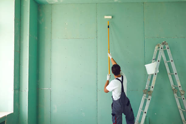 Best HVAC Mold Inspection and Cleaning  in Richardson, TX