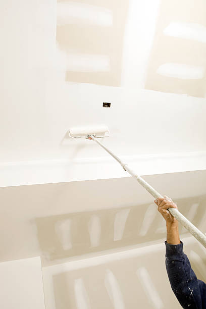 Mold Documentation for Insurance Claims in Richardson, TX